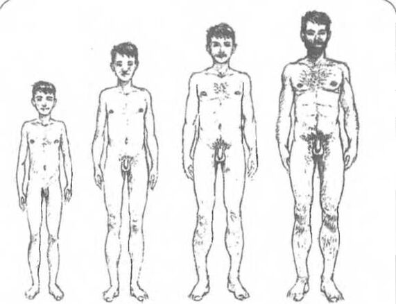 Dimensioni del pene a seconda dell'età